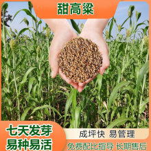 ����������ļ��Nֲţ���ļ�����ʳ�����ݷN���u���Z���ݷN��