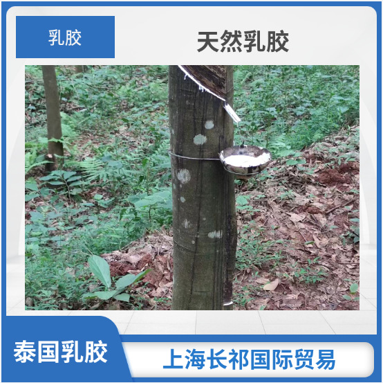 泰国天然乳胶 白乳胶 橡胶制品乳胶  胶乳