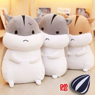 Ů�����նY��ɐۂ}����ë�q��߹�����ż�������˹���Ů���|��