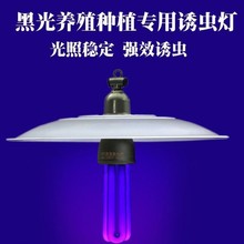 �����T�x���Bֳ�~�����x���x���w���T���r�Ú��x�ڹ���x����