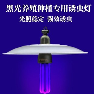 �����T�x���Bֳ�~�����x���x���w���T���r�Ú��x�ڹ���x����