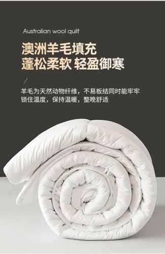 New Wool Blanket Three-Proof Super Soft Constant Temperature Spring and Autumn Winter Cover Core Anti-Piercing Thick Warm Blanket Wholesale