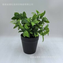 �մɻ���A�β�ɫ����Wʽ�Gֲ�������s���ԼҾ����b�бP�����մ�