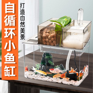 Landscape desktop fish tank living room aquarium peacock zebrafish special goldfish tank with filter self-circulating fish tank