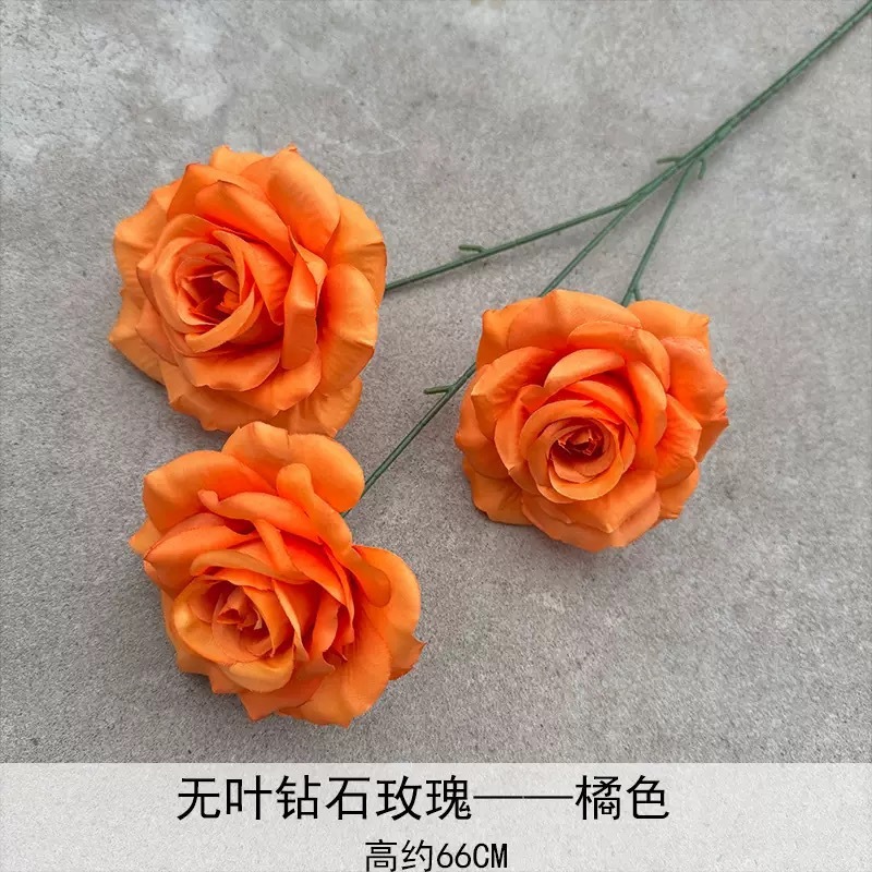 3헤드 다이아몬드 로즈-오렌지