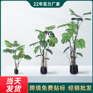 ���ͷ���Gֲ����������߶��b�������Gֲ����[����ؙ������^