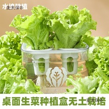 ˮ���߲˟o���������ˮ���N�����˺�����������зNֲ������̫��