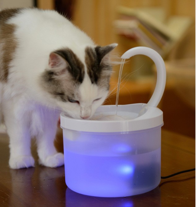 Мини-высокая конфигурация, нехватка воды и отключение электроэнергии