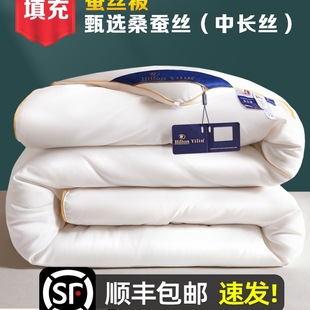 Export + Silk Quilt Mulberry Silk Spring and Autumn Quilt Summer Cool Quilt Core Double Quilt Thickened Winter Quilt