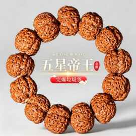 尼泊尔五星龙纹大金刚菩提手串男满肉文玩菩提子原籽核桃盘玩佛珠