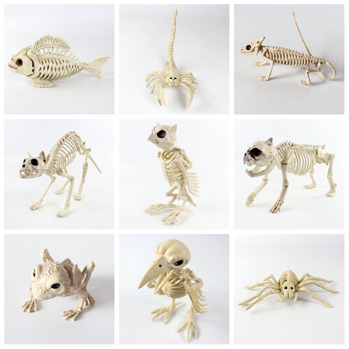 Halloween horror skeleton animal skeleton bat spider scorpion mouse snake haunted house decoration props toad skeleton