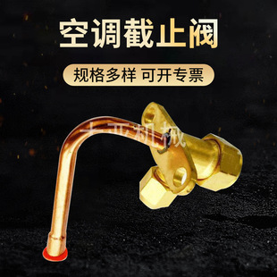 �㽭�󁆙Cе�������{��ֹ�y �S�~���{��C��ֹ�y �ߵ͉�2�֏��^
