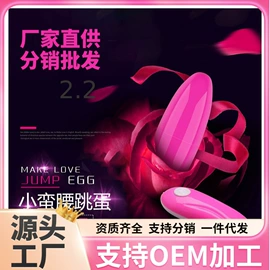 震动棒;情趣跳蛋;后庭用品