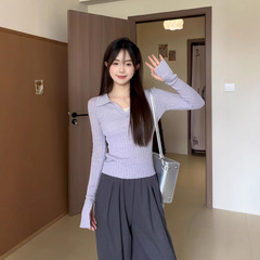 紫色polo领针织衫女秋季内搭可外穿毛衣设计感小众修身打底衫上衣