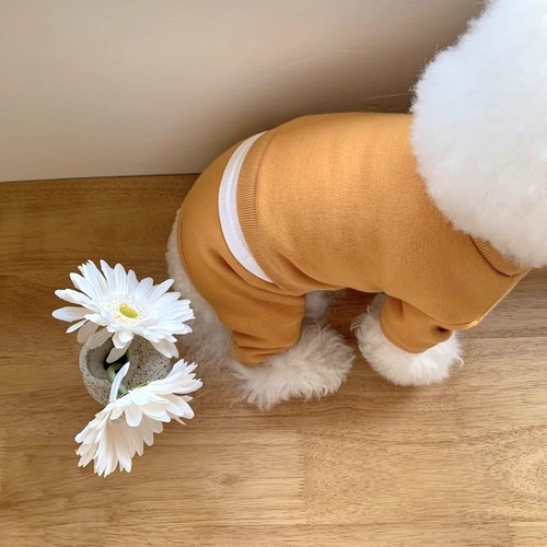 Cross-border Japanese and Korean puppy clothes casual and versatile simple four-legged sweatshirt Teddy small dog cat pet clothes