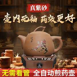竹水溪紫砂煎药壶全自动熬药电煎壶家用药罐中医煎锅砂锅药煲
