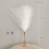 White 55cm