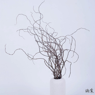 ������֦������Ȼ�Ҿ��b[�Oˇ�g�ɻ���֦�Ĕz����֦����