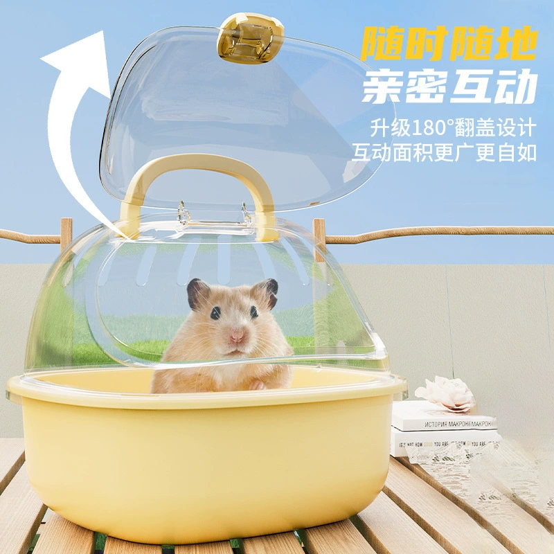 Домашние хомяки выходят в клетку