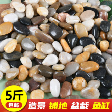 精品雨花石天然五彩石盆栽铺面彩色鹅卵石室内户外造景精抛小石头