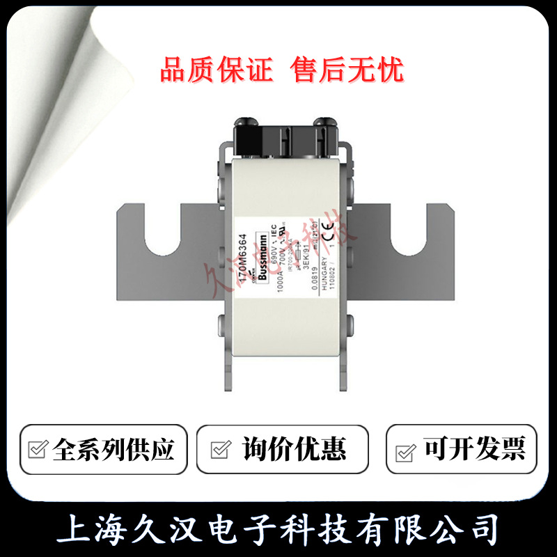 170M6366 170M6367 170M6368 170M6369 BUSSMANN 熔断器 保险丝