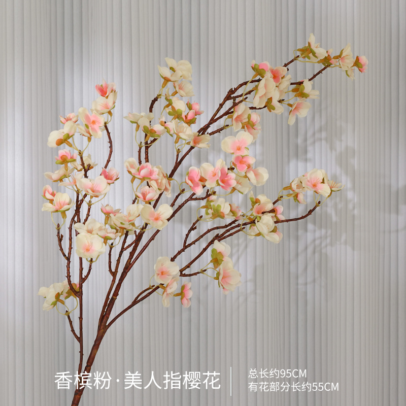 뷰티핑거 사쿠라 샴페인 파우더