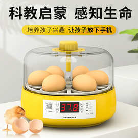智能小鸡孵化器全自动鸟蛋孵蛋器芦丁鸡卵化箱厂家批发儿童玩具