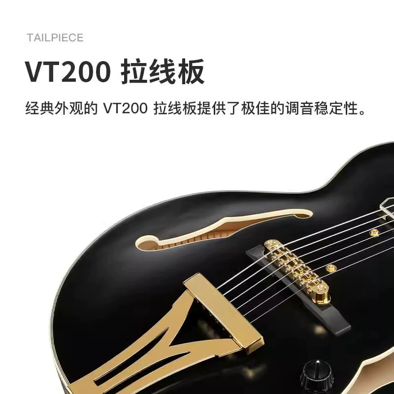 Гитара Ibanez Ebana PM3C Jazz Hollow Pat Metheny Signature Edition с футляром