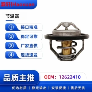 Buick LaCrosse 2.4 Captiva Termostatı 12622410 90537453 12615097