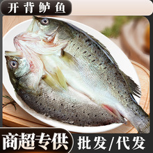 ���|�~�_�����r�������~ȥ���K�_���|�~�������l����l