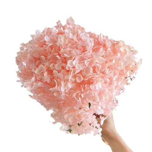 Perennial Flowers Anna Hydrangea Dried Flower Wholesale Bouquets Home Decor Ornaments Cafe Bar Table Centerpieces