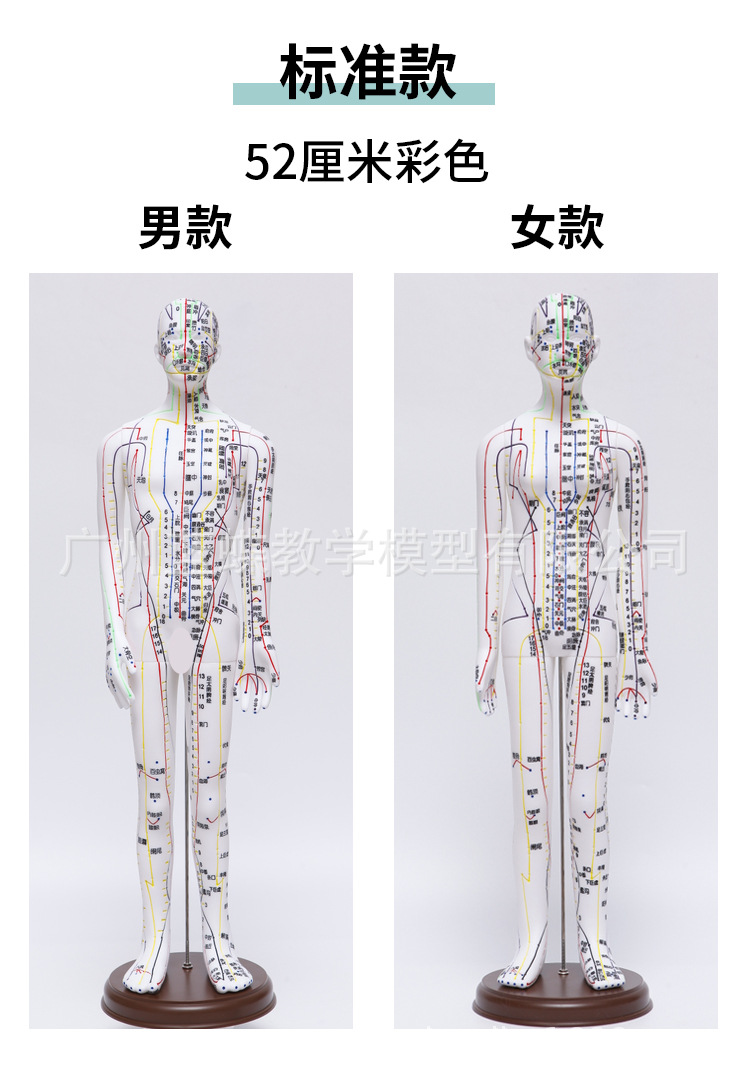 5262cm针灸人_08