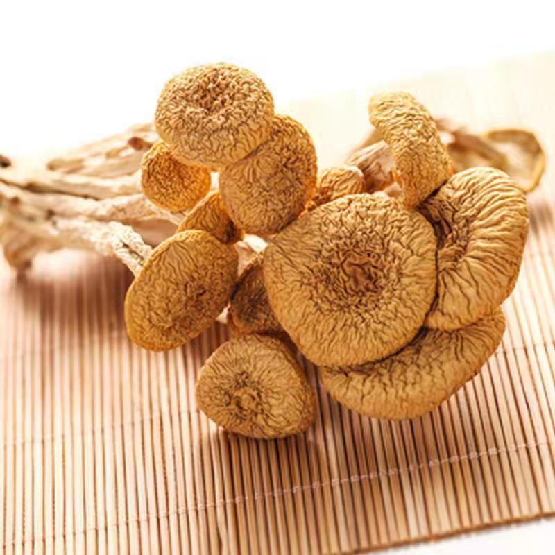 滑子菇干货头茬整菇新货量大批发煲汤食材滑子蘑珍珠菇小黄蘑蘑菇|ru