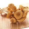 滑子菇干货头茬整菇新货量大批发煲汤食材滑子蘑珍珠菇小黄蘑蘑菇