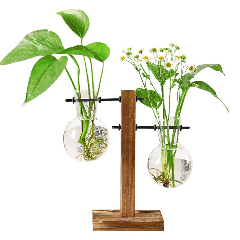 Simple creativo hidropónico soporte de madera pequeño florero verde rábano planta hidropónica florero transparente decoración de escritorio