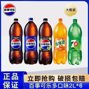 ���¿ɘ�2L*6ƿ�����ƿ�o�ǘO�ȿɘ���ϲ�����_����ƿ�b̼�����