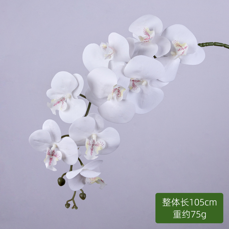 9 orquídeas de mariposa (blancas)