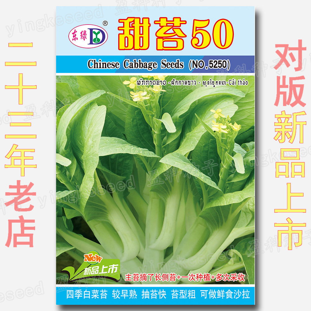 甜苔50白菜薹籽 约1500粒 四季 抽苔快 较早熟 水果型白菜苔种子