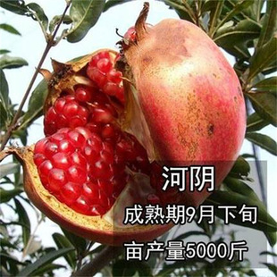 ����ʯ��һ�����lͻ��˹ܛ��ʯ��ͻ��˹ʯ��ˮ�����l�t��觼t����