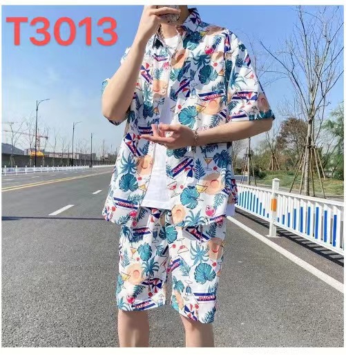 T3013