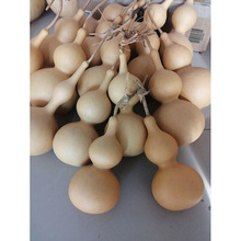 ����Ȼ���J���N����С�������J��ƤѾѾ���J�ƺ��Jԭ��Ѿ�����J