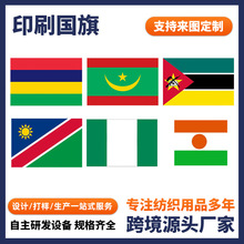 手摇旗帜团建活动组织旗帜多尺寸批发支持来图制作双面高清印刷