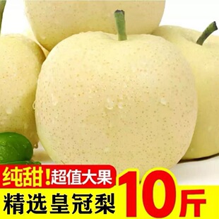 �ӱ��ʹ��������r10��ˮ������ѩ��Xɽ�����殔�����䳱��