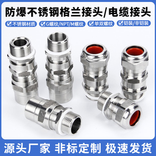 Explosion-Proof Gland Explosion-Proof Armored Cable Clamp Seal Joint Stuffing Box 304 Stainless Steel Imperial M20 Metric