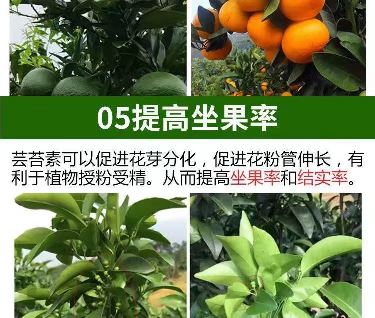 微信图片_202404251602431