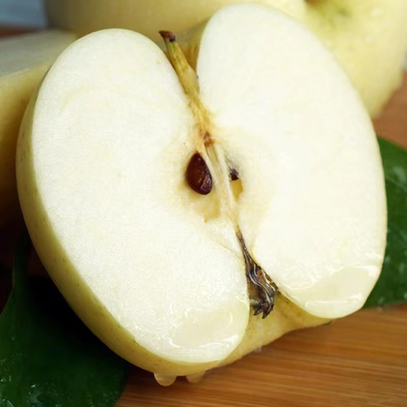 微信图片_2022060115392417