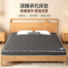 耐脏深灰色椰棕床垫多厚度可选家用卧室高箱床排骨架简易护脊棕垫