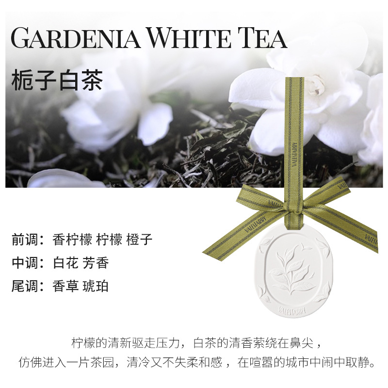 치자나무 백차(차갑고 부드러운)