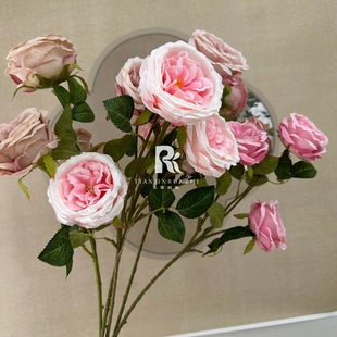 ���滨3�^�W˹͡õ����ɫ��c��Y��·���廨������ˇӆ���b�