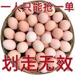 土鸡蛋草鸡整箱散养农家新鲜土鸡蛋农村包邮散养笨鸡蛋柴鸡蛋全年